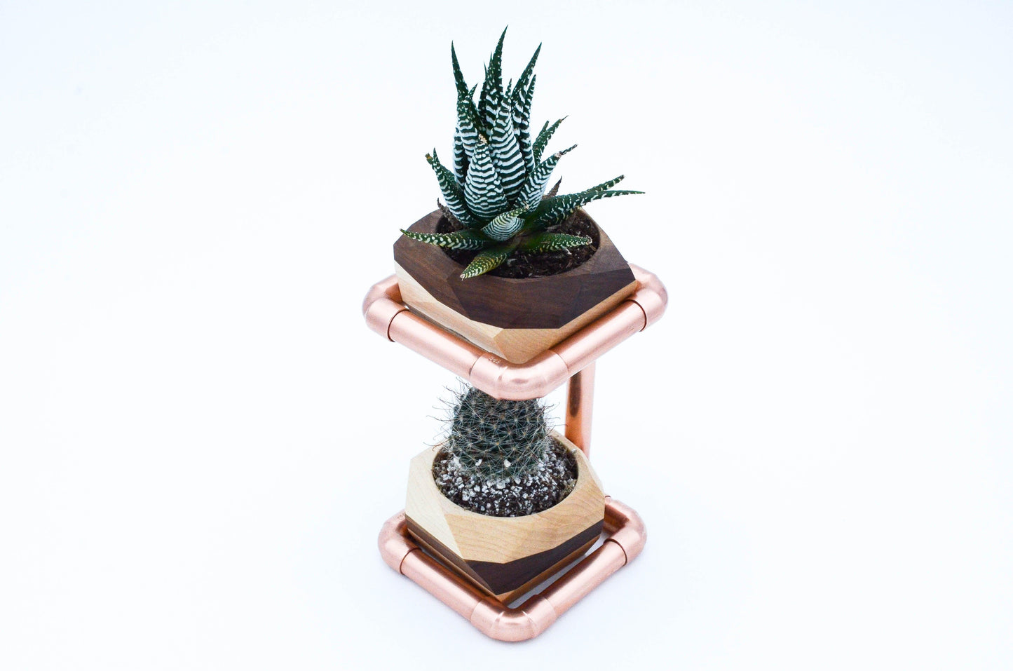 Geometric Double Cactus & Succulent Planter with - The Higher Flower