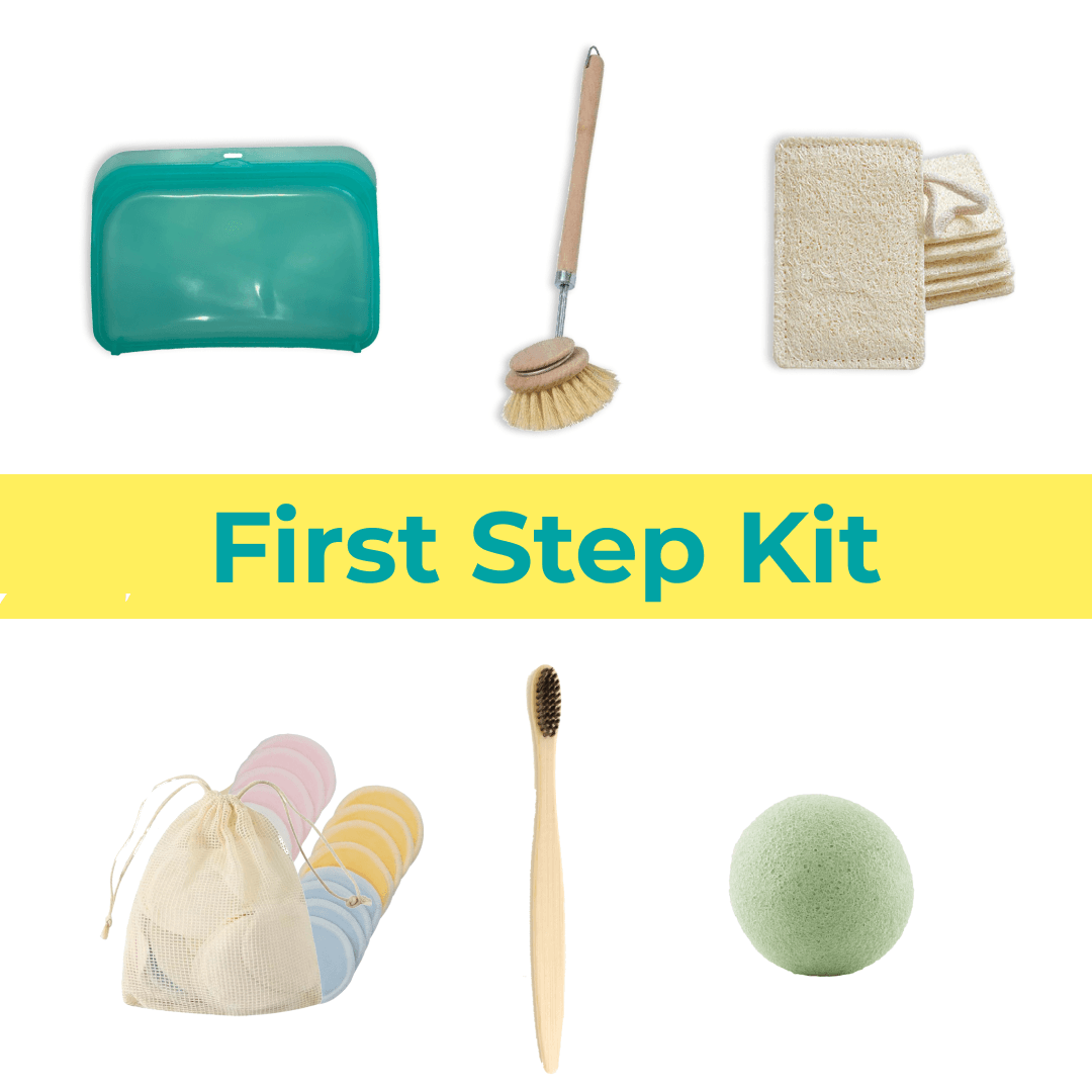 Kiwi Eco Box | First Step Kit - The Higher Flower