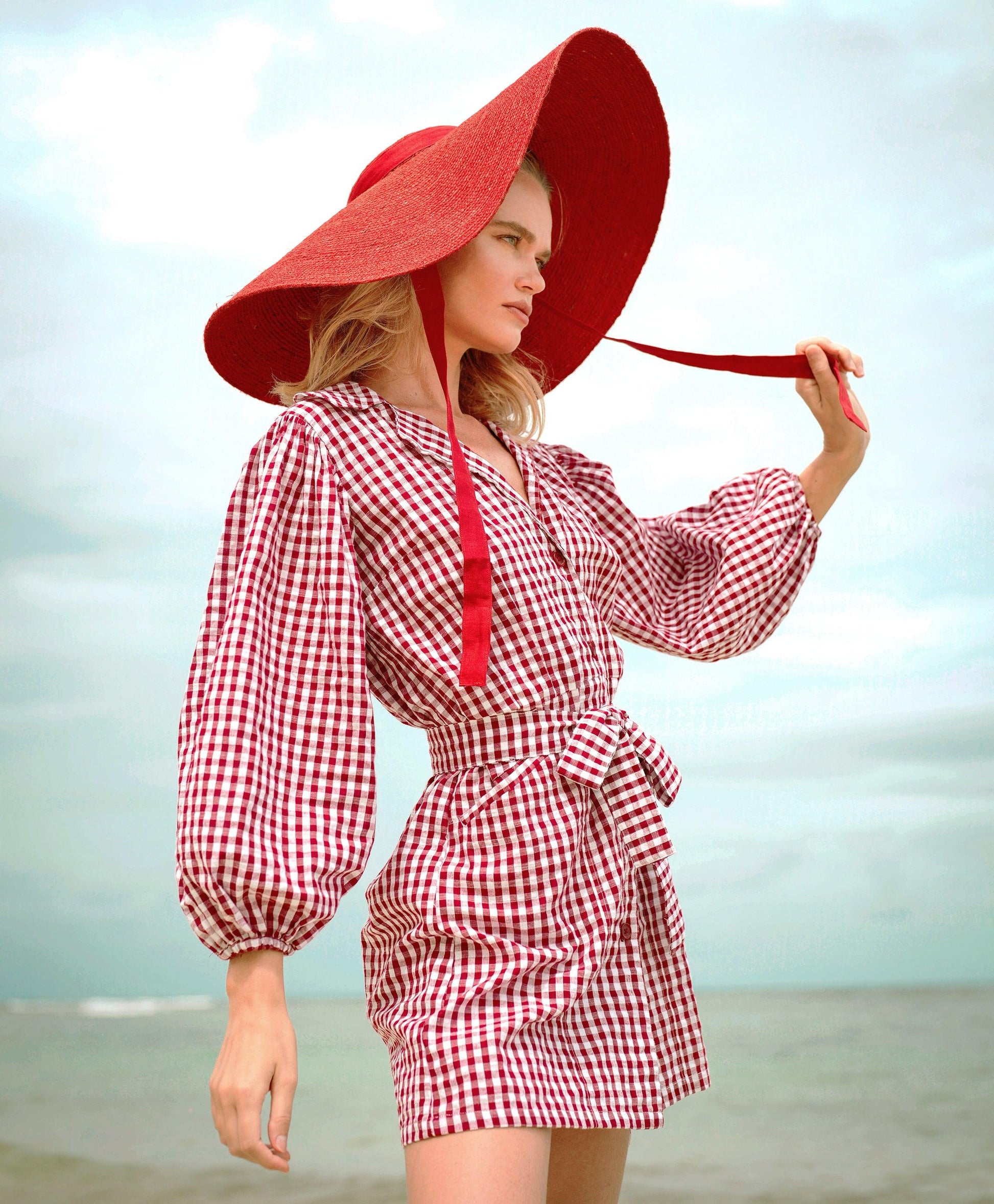 MEGHAN Mini Dress, in Gingham Red - The Higher Flower