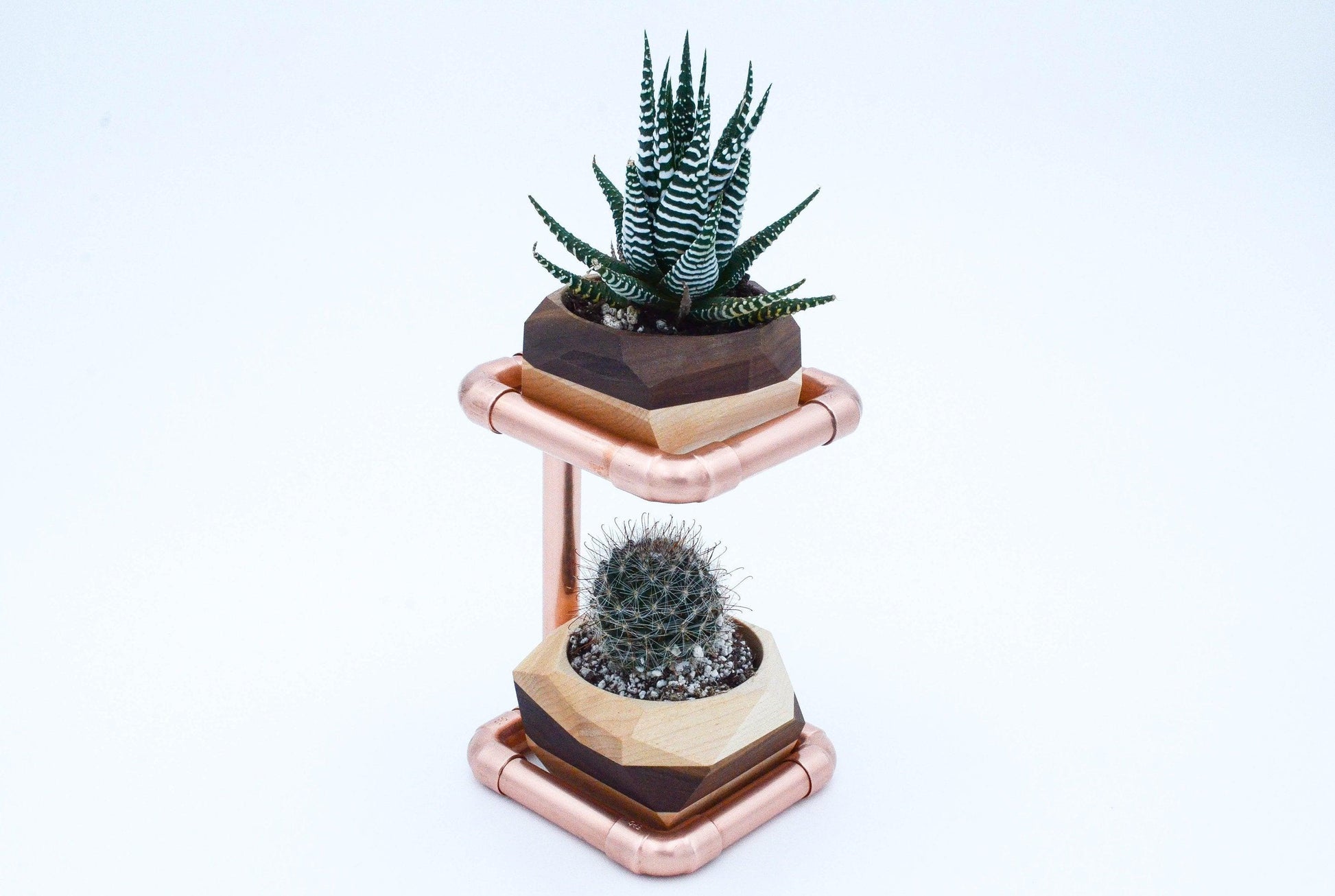 Geometric Double Cactus & Succulent Planter with - The Higher Flower